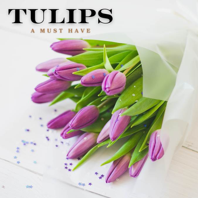 6 Best Flowers to Say Thank you - tulips