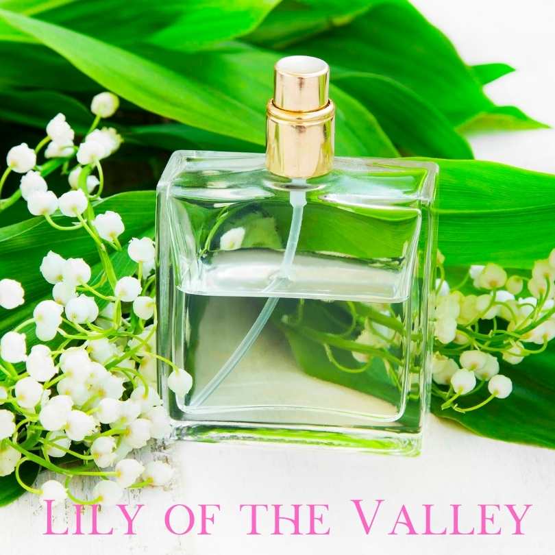 Top 10 Flowers Used In Perfumes - Lily of the Valley