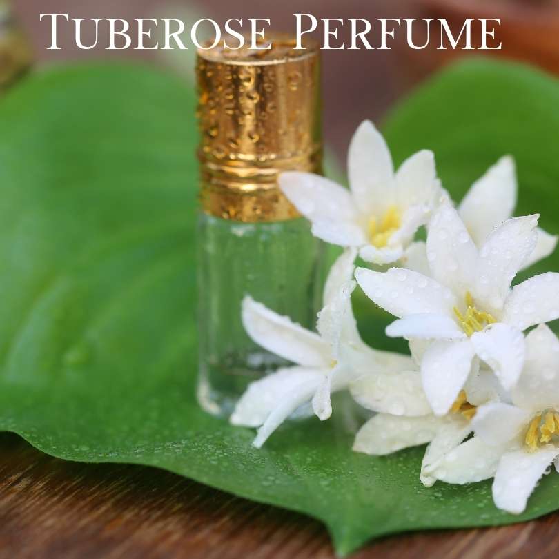 Top 10 Flowers Used In Perfumes - Tuberose