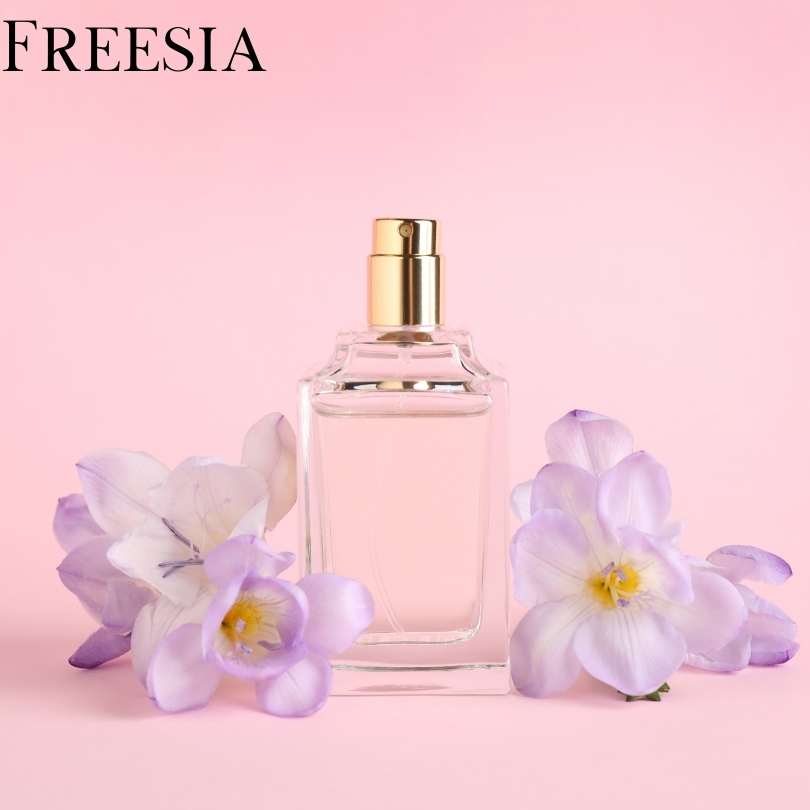 Top 10 Flowers Used In Perfumes - freesia