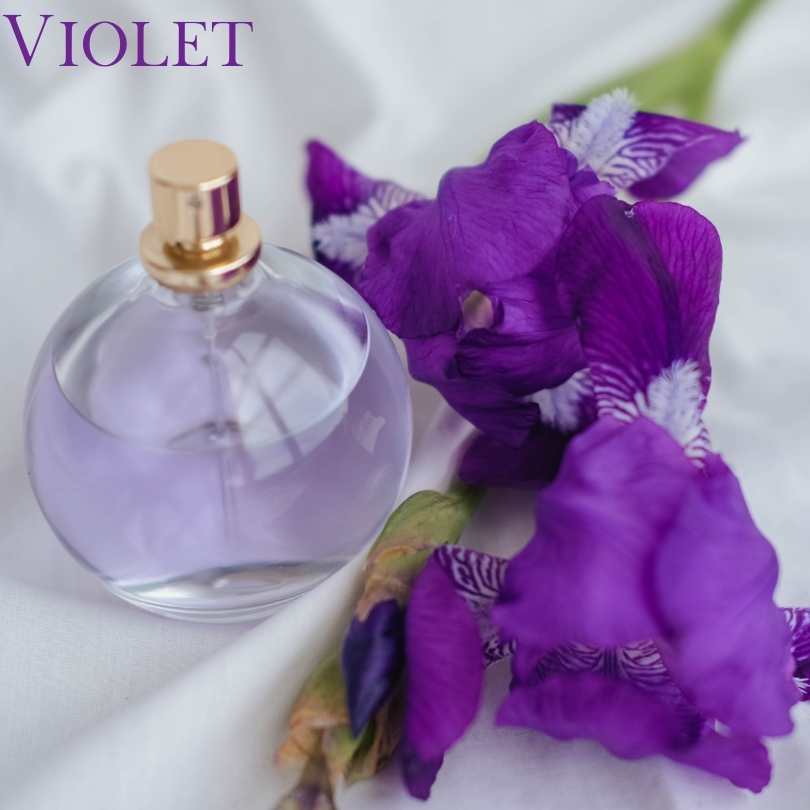 Top 10 Flowers Used In Perfumes - violet