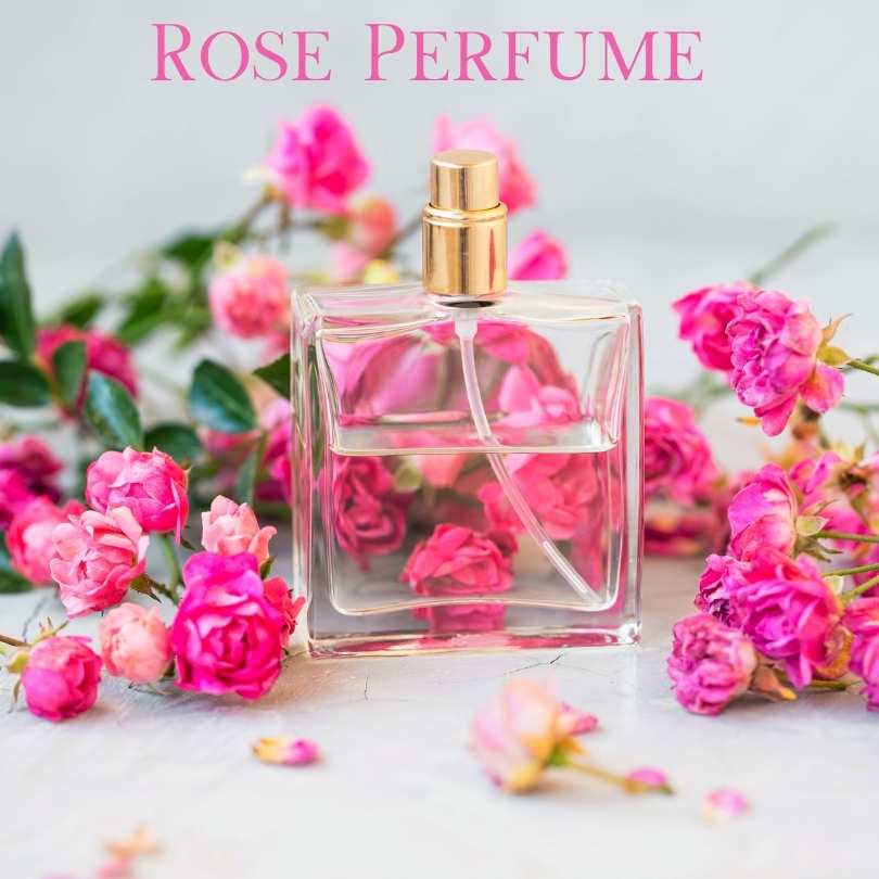 Top 10 Flowers Used In Perfumes - roses