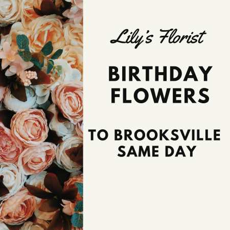 Shop Brooksville Birthday Flowers Online