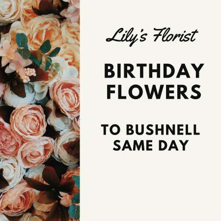 Shop Bushnell FL Birthday Flowers Online