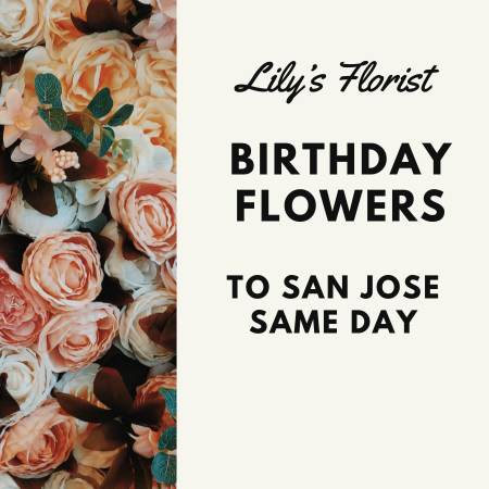 San Jose CA Birthday Flowers Online