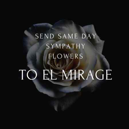 funeral & sympathy flowers delivery  in El Mirage az