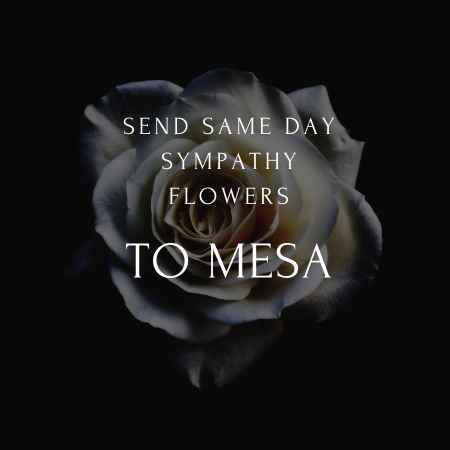 funeral & sympathy flowers delivery  in Mesa az