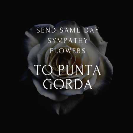 funeral & sympathy flowers delivery  in Punta Gorda fl