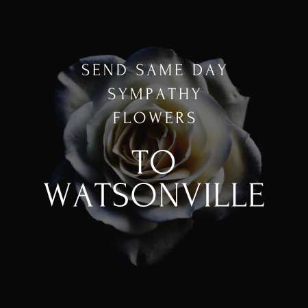 funeral & sympathy flowers delivery  in Watsonville